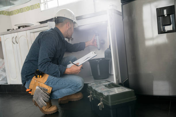 Best Local Plumber Services  in Pocahontas, IA