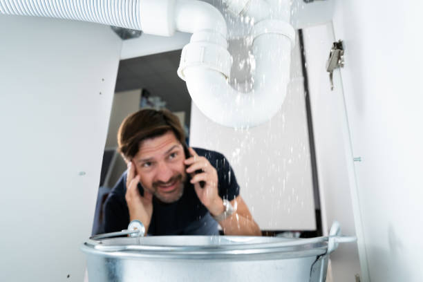 Best Clogged Drain Plumber  in Pocahontas, IA