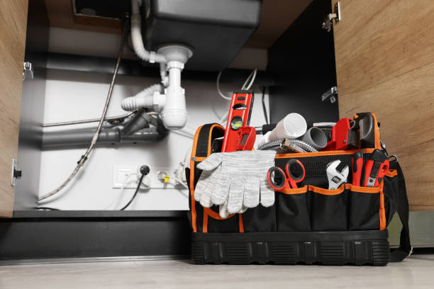 Best Emergency Plumber  in Pocahontas, IA