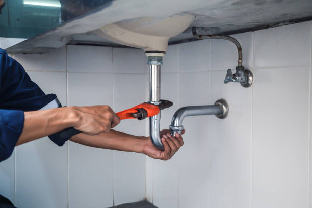 Best Plumbing Inspection Services  in Pocahontas, IA