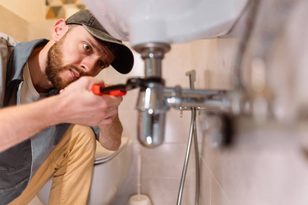 Best Commercial Plumbing Services  in Pocahontas, IA